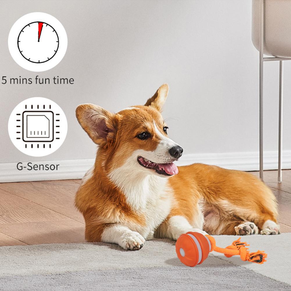 Haustierball für Hunde, intera – Automatic Moving Dog Ball Bewertung und Preis