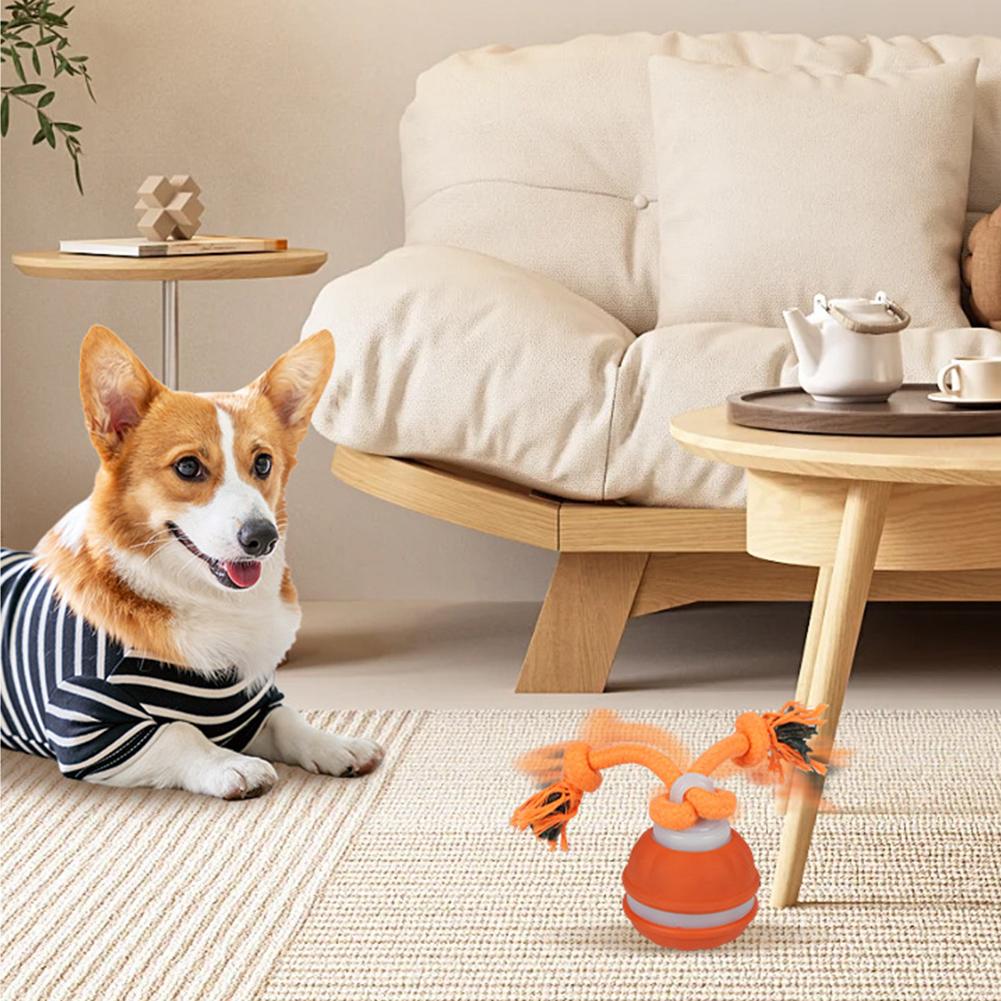 Haustierball für Hunde, intera – Automatic Moving Dog Ball Bewertung und Preis