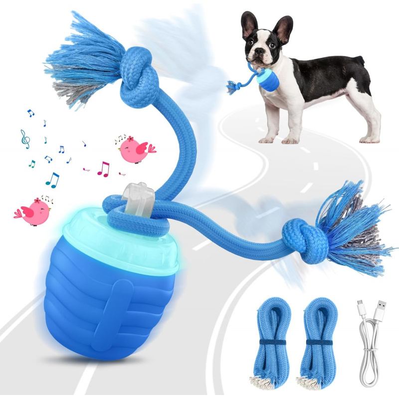 2026 Verbessertes Automatische – Automatic Moving Dog Ball Bewertung und Preis