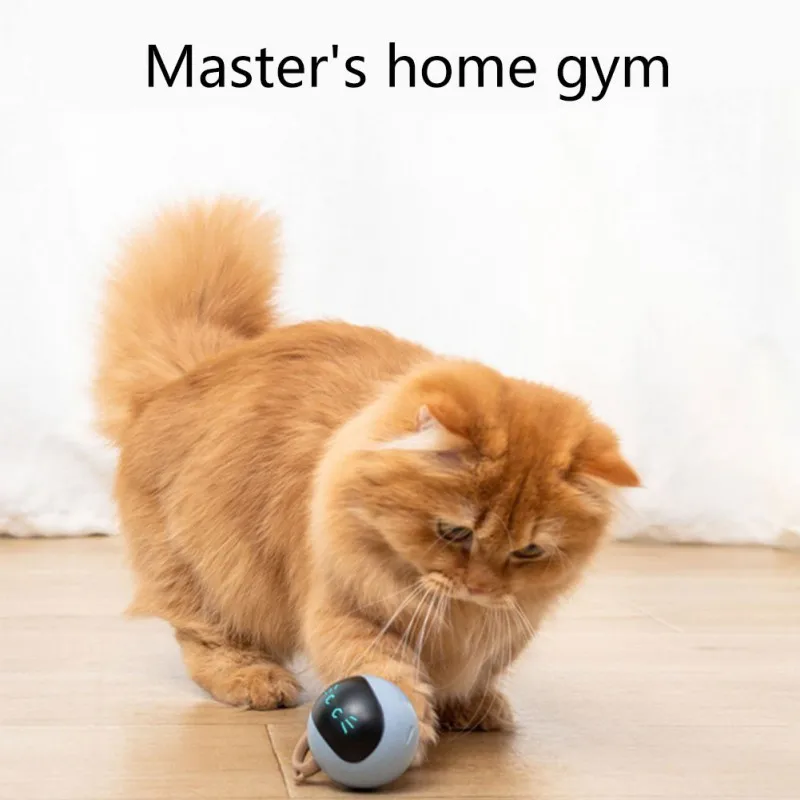 Interaktives Katzenball-Spielz – Automatic Moving Dog Ball Bewertung und Preis